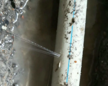 东乡卫生间测漏水多少钱